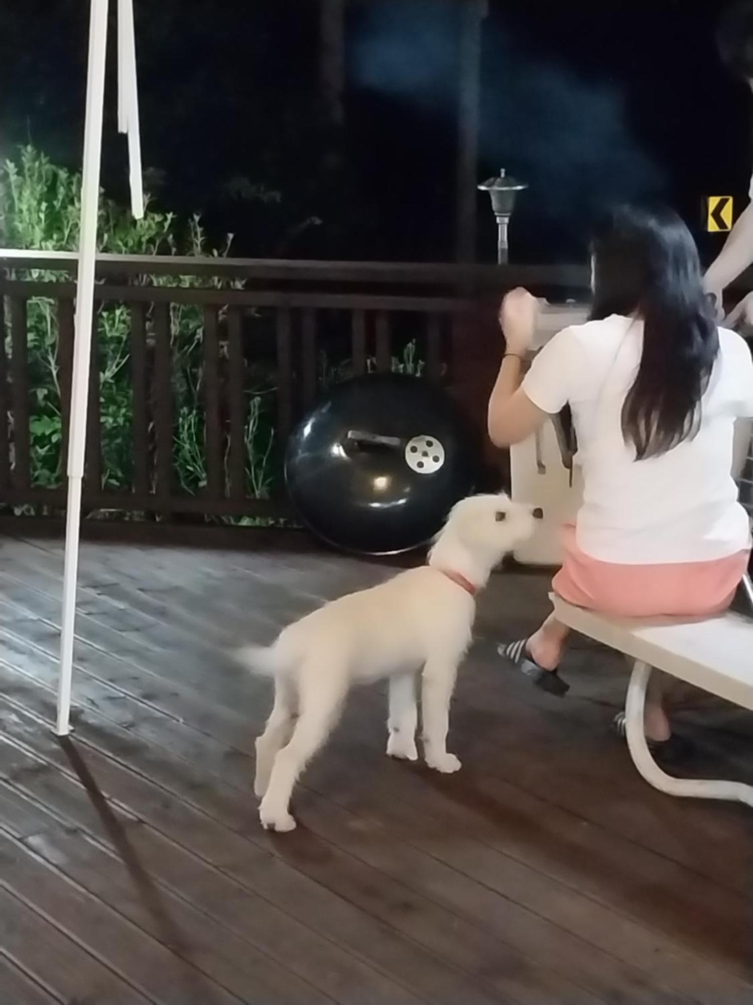 菲尔玛塔度假屋 平昌 外观 照片