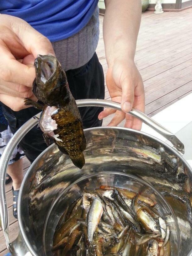 菲尔玛塔度假屋 平昌 外观 照片